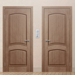 Картинка анонса двери Класс 5 ПГ 137 ASMarket СПб