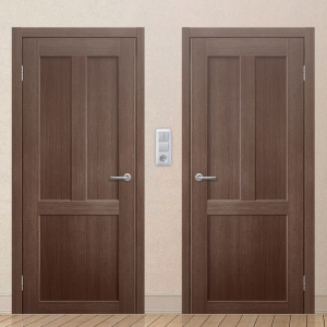 Картинка анонса двери ЭКОЧ 21 137 ASMarket СПб