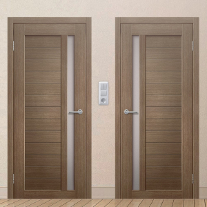 Картинка анонса двери ЭКОЧ 35 137 ASMarket СПб