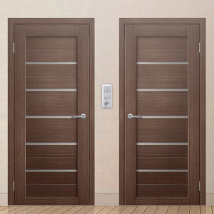 Картинка анонса двери ЭКОЧ 39 137 ASMarket СПб