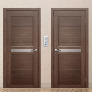 Картинка анонса двери ЭКОЧ 33 137 ASMarket СПб