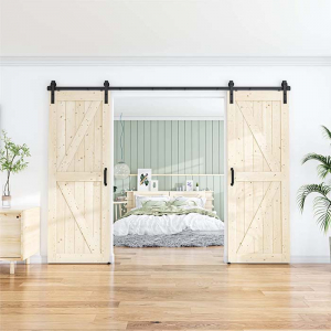 Фото раздвижной двери DL 11 X2 №2 в ASMarket