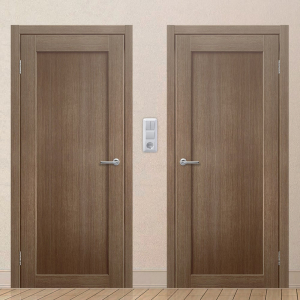 Картинка анонса двери ЭКОЧ 24 137 ASMarket СПб