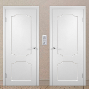 Картинка анонса двери ГФЭЧ 3 137 ASMarket СПб