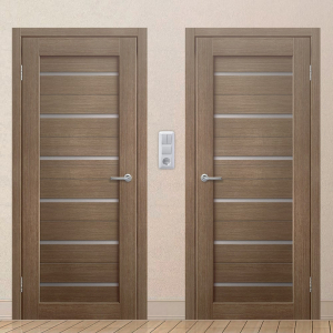 Картинка анонса двери ЭКОЧ 31 137 ASMarket СПб