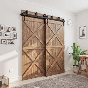 Фото раздвижной двери DL 10 X2 №5 в ASMarket