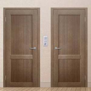 Картинка анонса двери ЭКОЧ 20 137 ASMarket СПб