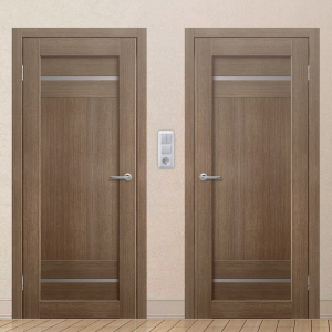 Картинка анонса двери ЭКОЧ 48 137 ASMarket СПб