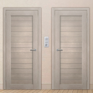 Картинка анонса двери ЭКОЧ 32 137 ASMarket СПб