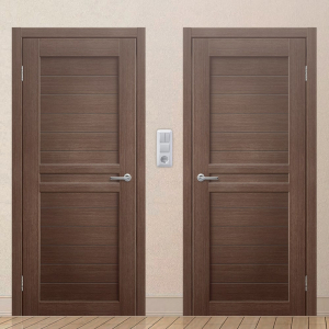 Картинка анонса двери ЭКОЧ 34 137 ASMarket СПб