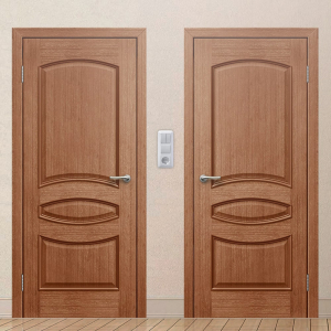 Картинка анонса двери Класс 7 ДГЧ 137 ASMarket СПб