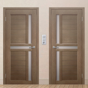 Картинка анонса двери ЭКОЧ 41 137 ASMarket СПб