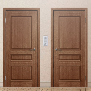 Картинка анонса двери Класс 11 ДГЧ 137 ASMarket СПб