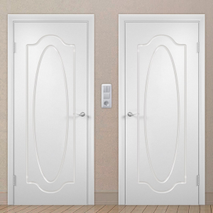 Картинка анонса двери ГФЭЧ 5 137 ASMarket СПб