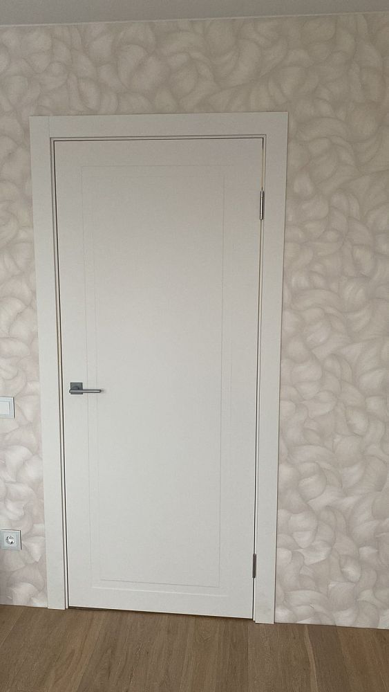 Товарищеский проспект д1