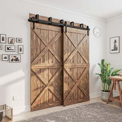 Основная фотография откатной двери DL 10 X2 №5 магазина ASMarket