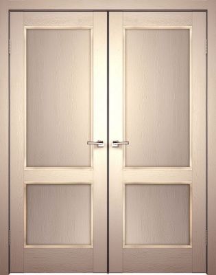 Детальная картинка распашной двери Класс-2 ДГ X2